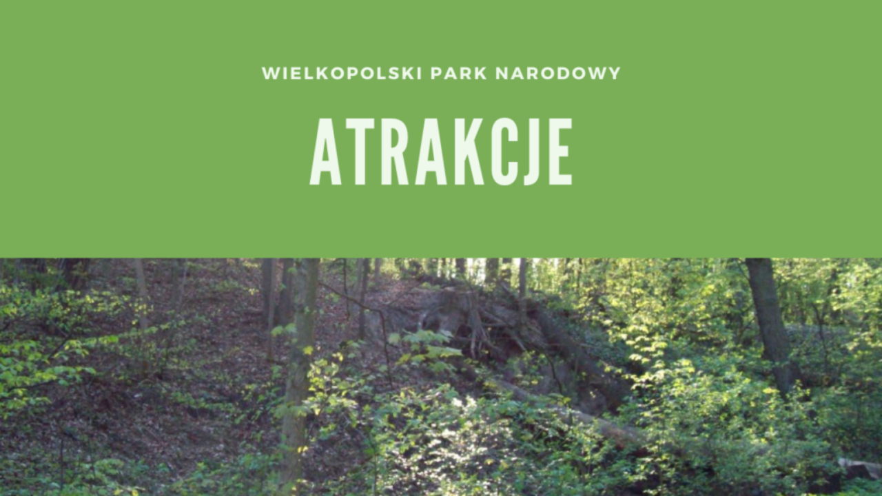 Wielkopolski Park Narodowy Atrakcje