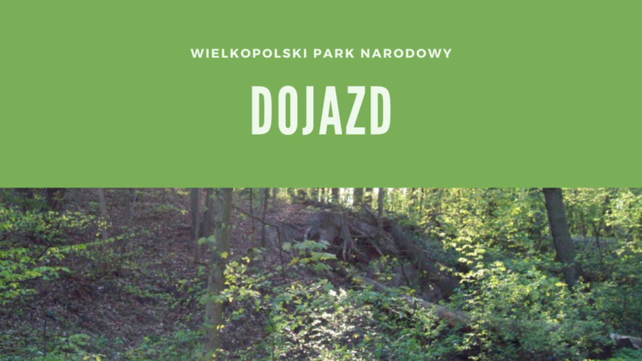 Wielkopolski Park Narodowy Dojazd
