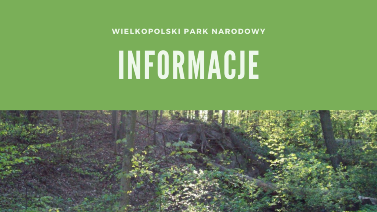 Wielkopolski Park Narodowy Informacje