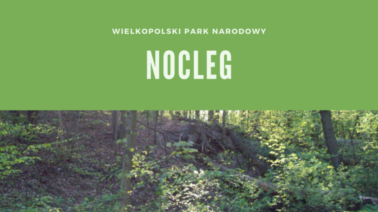 Wielkopolski Park Narodowy Nocleg