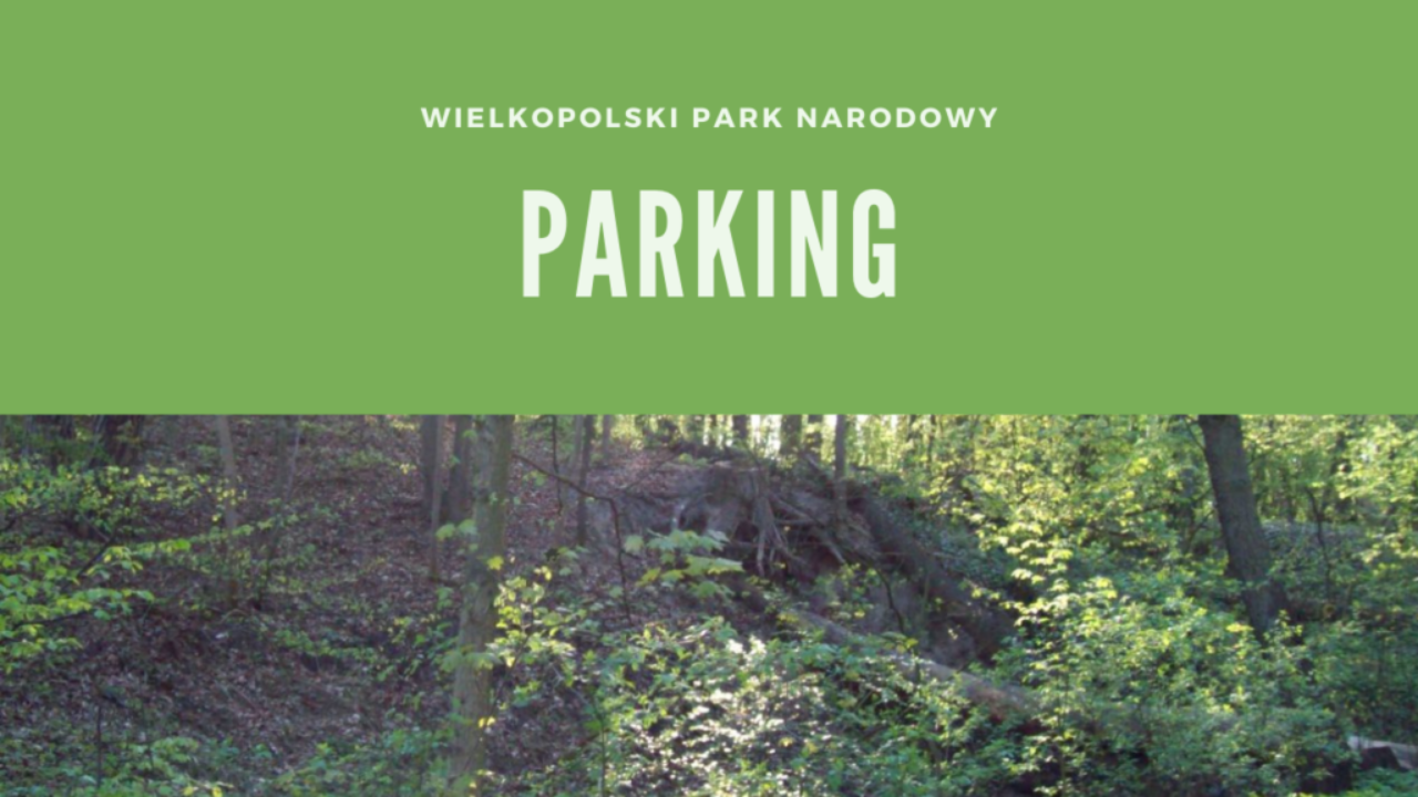 Wielkopolski Park Narodowy Parking