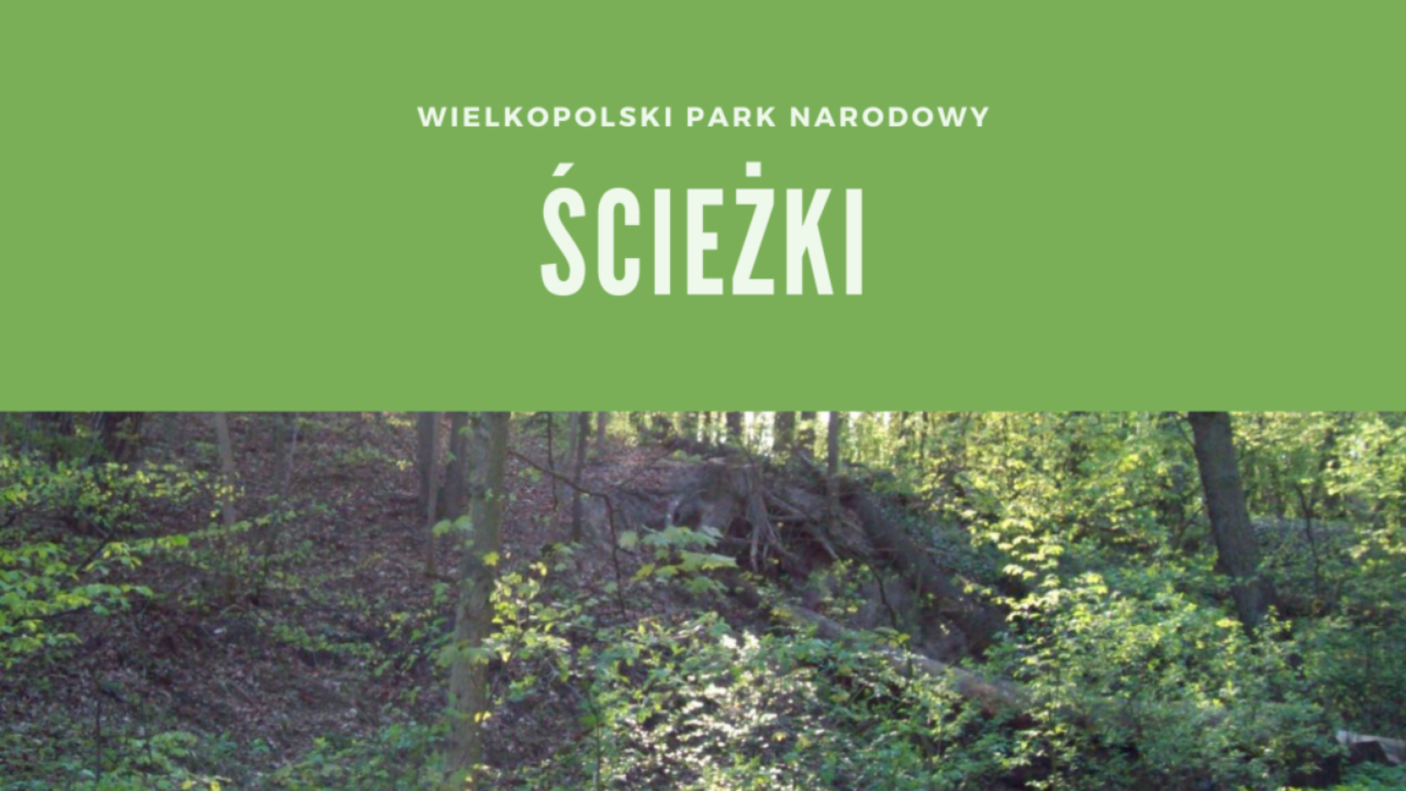 Wielkopolski Park Narodowy Ścieżki
